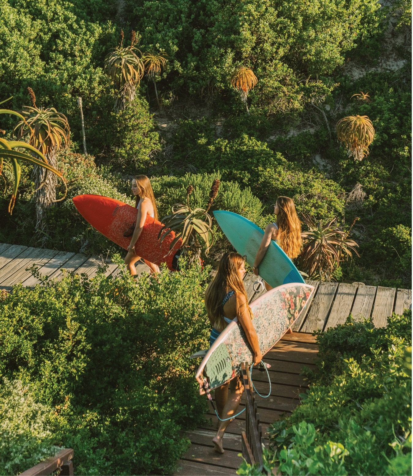 All Products – Nani Swimwear
