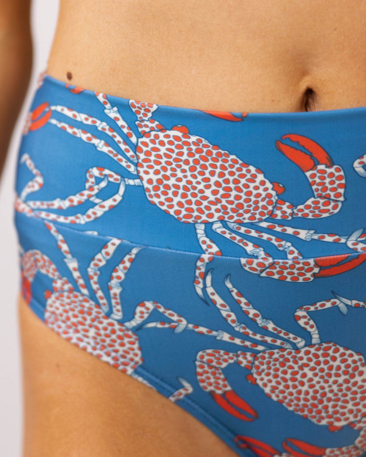Chesapeake Bay Marine Bottom