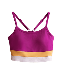Hope Colorblock Bra