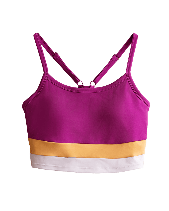 Hope Colorblock Bra