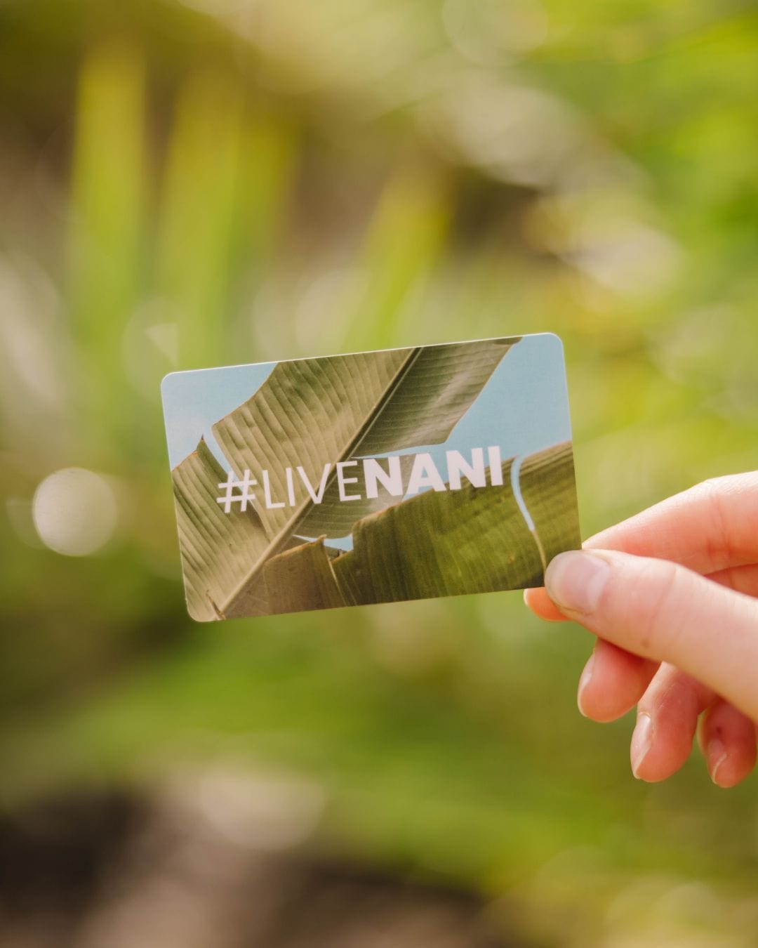 Nani Gift Card - SHIPPED