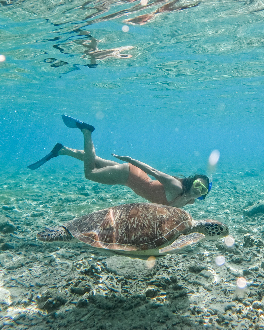 Girl swimming with a turtle wearing a textured orange one piece swimsuit