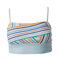 Zari Surf Crop